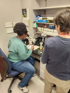 Photo of Corrin using the microscope